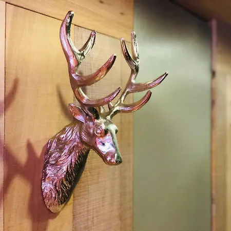 Cosy Duplex With Hammam-steamroom In Rochebrune * מגב