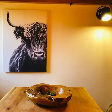 Cosy Duplex With Hammam-steamroom In Rochebrune