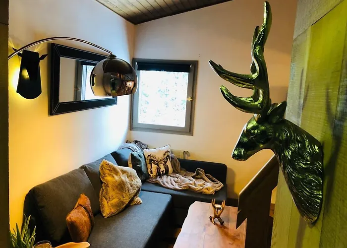 Cosy Duplex With Hammam-steamroom In Rochebrune