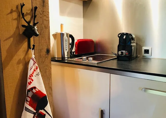 Cosy Duplex With Hammam-steamroom In Rochebrune Lejlighed