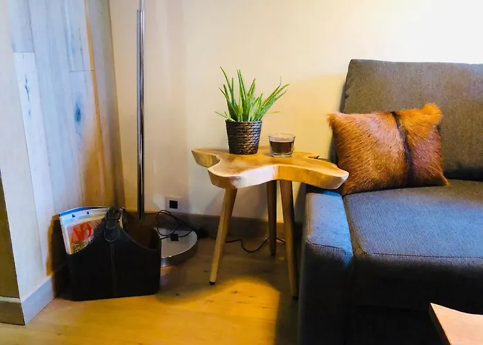 Cosy Duplex With Hammam-steamroom In Rochebrune Lejlighed Megève