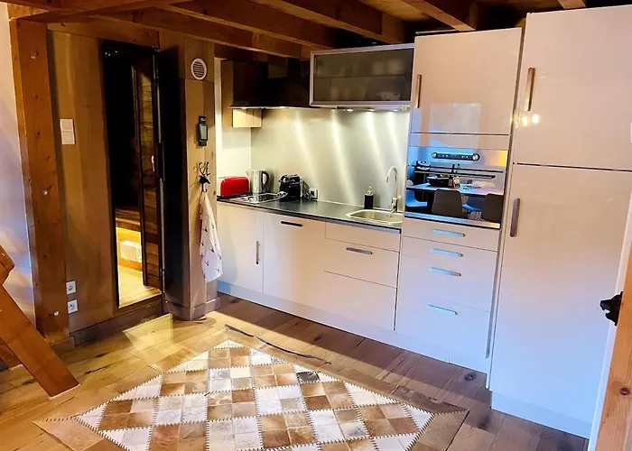 Cosy Duplex With Hammam-steamroom In Rochebrune Megève